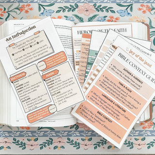 *Boho Bible Inserts*REORDERED — arrival is around 3/30!