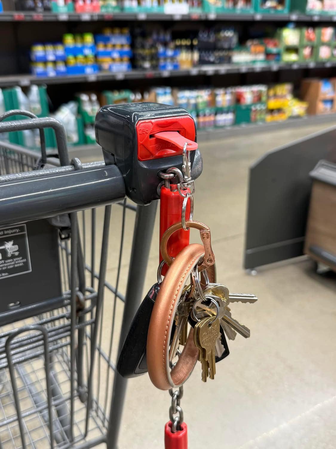 Shopping Cart Quarter Saver Keychain *IN STOCK!*