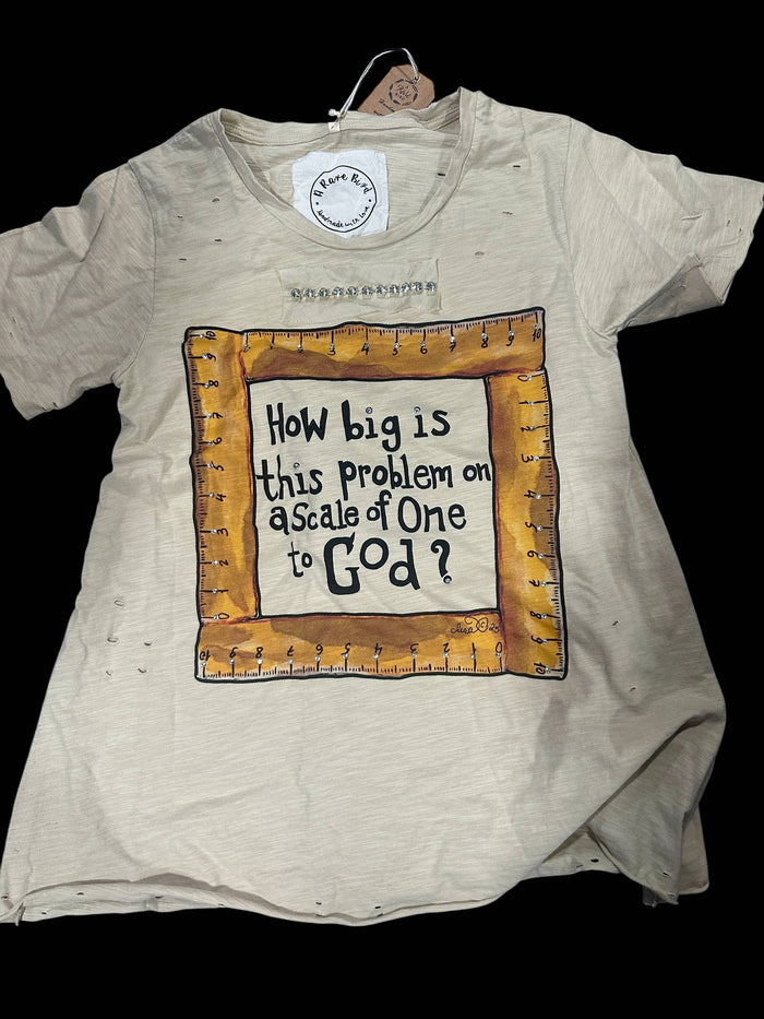 How Big Is This Problem Tattered Shirt by The Rare Bird