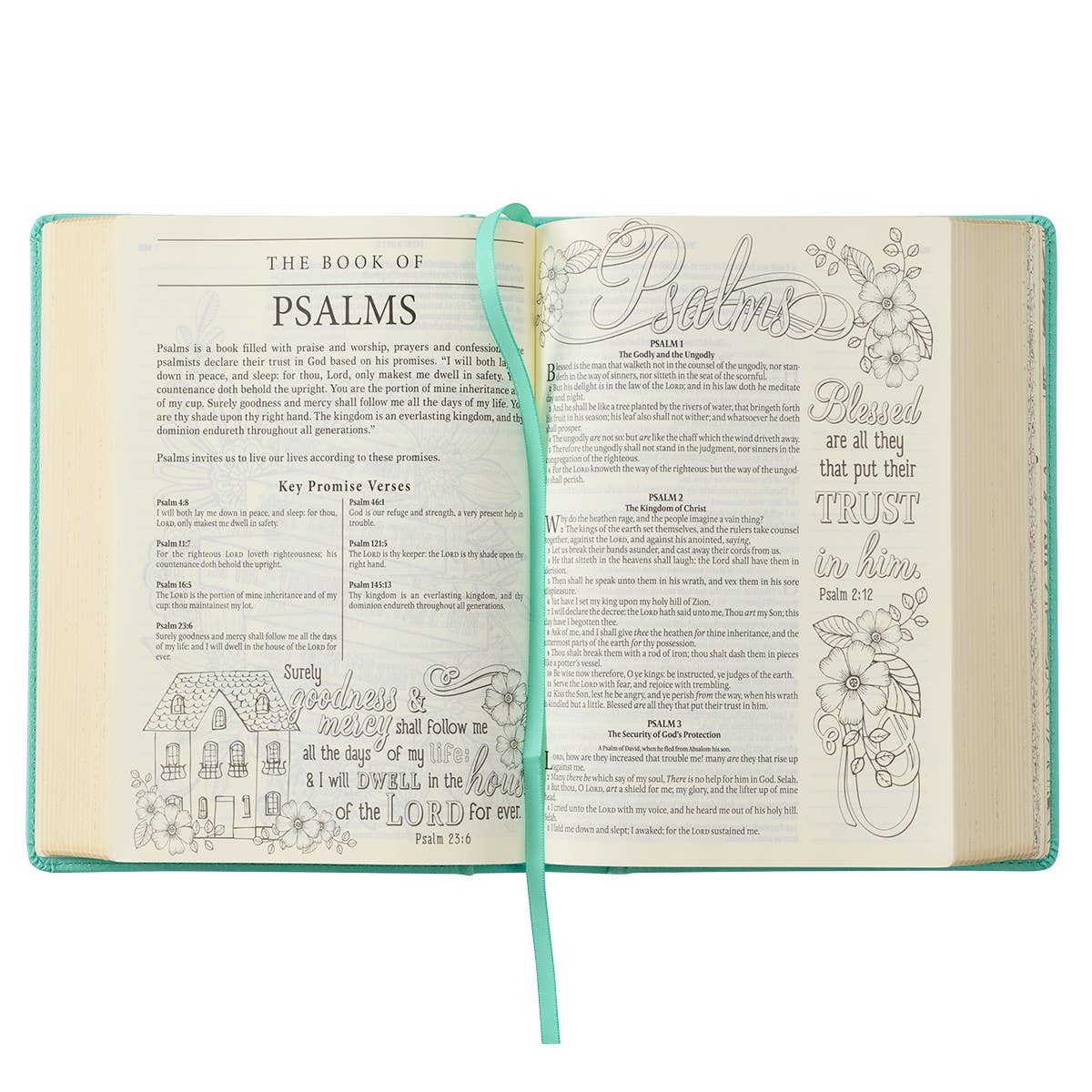 2490- Teal Faux Leather Hardcover KJV My Promise Bible