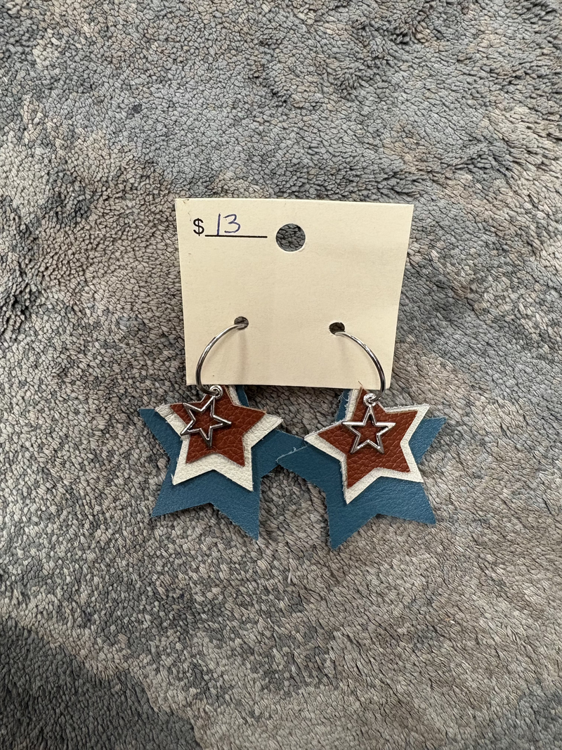 Teal, Taupe, and Brown Multi Later Star Earrings