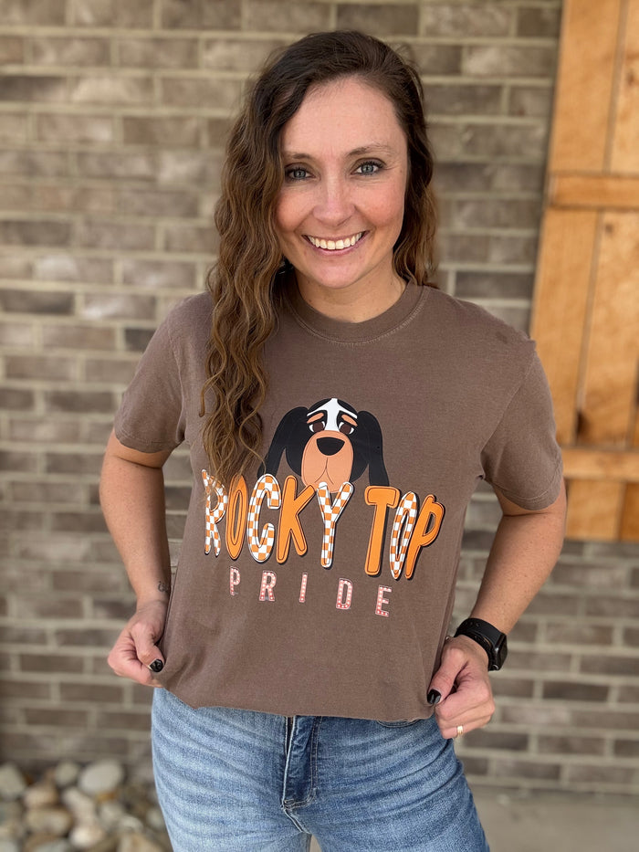 Rocky Top Pride Tennessee Graphic T-shirt: Espresso *TN COLLECTION*