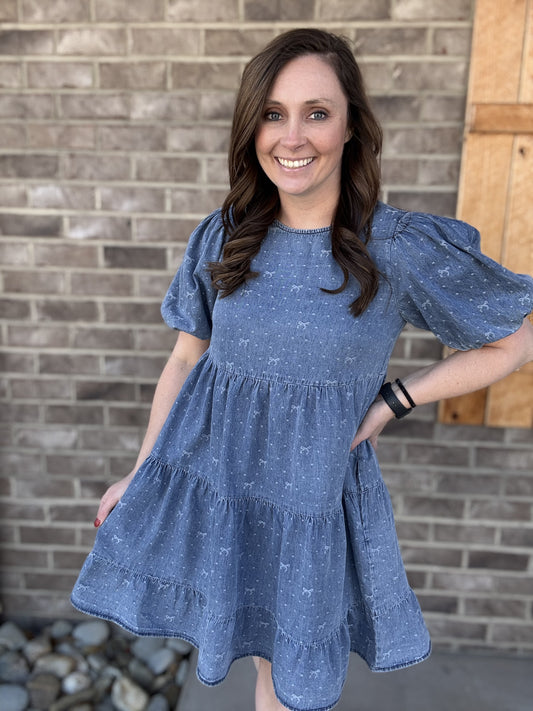 Denim Washed Chambray Bow Print Babydoll Dress