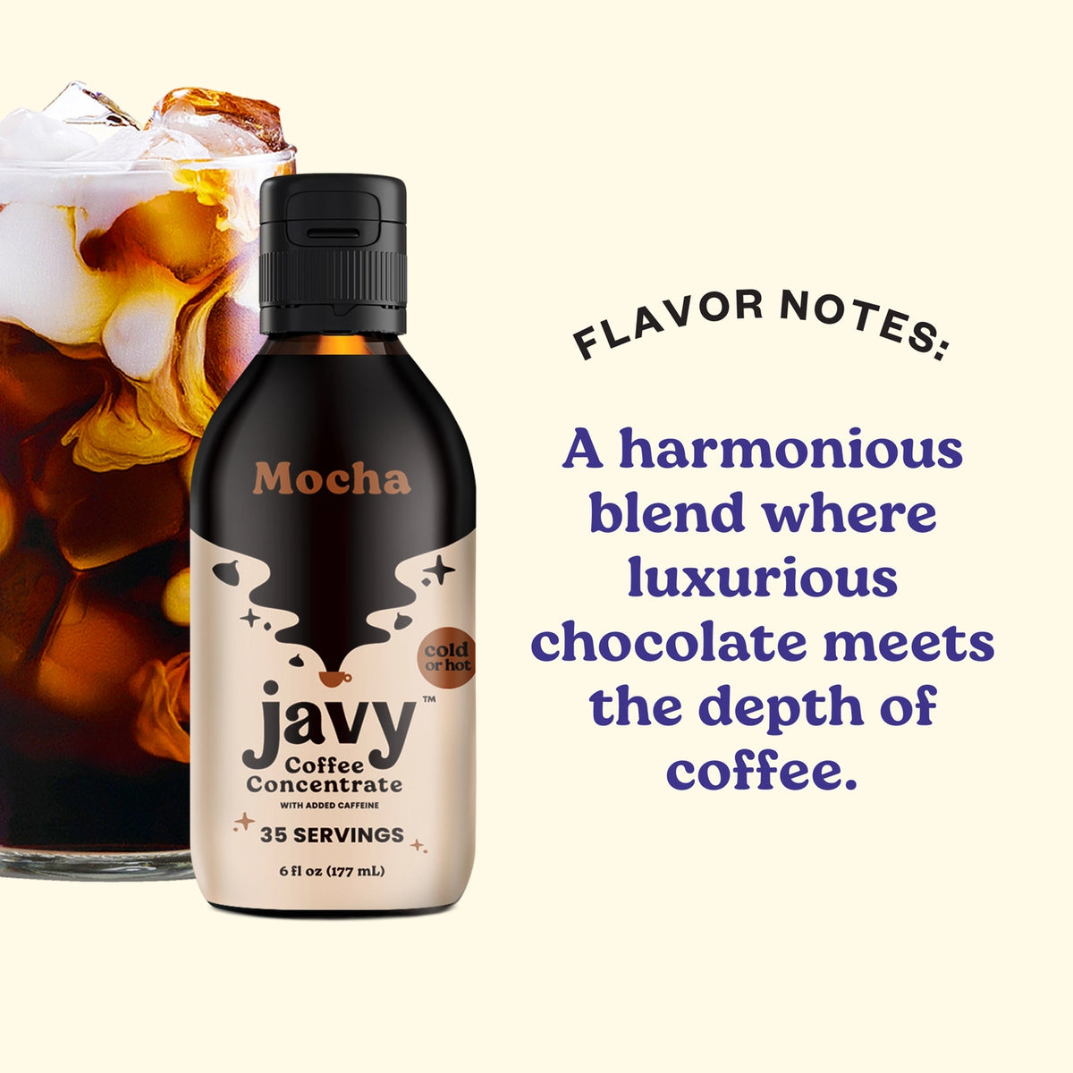 887- Mocha Javy Coffee Cold Brew Concentrate