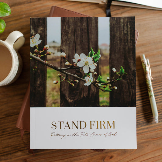 Stand Firm | Armor of God Study 