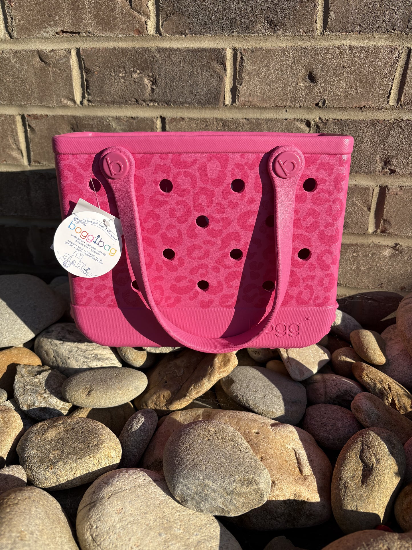 3587- purrr-fectly PINK Leopard Bitty Bogg Bag