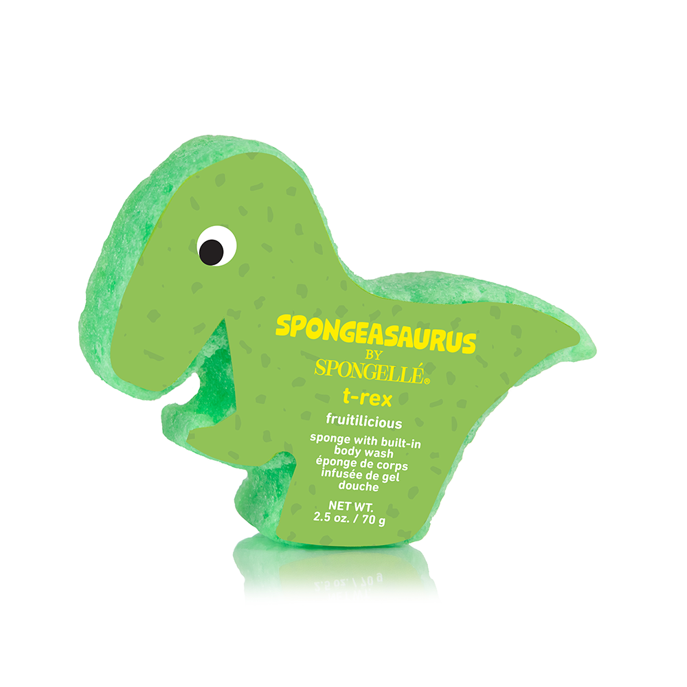 528- Spongeasaurus Dinosaurs Sponge