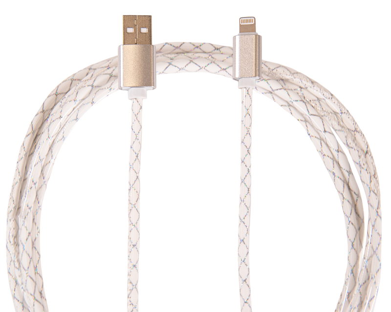 664- Simply Southern 10 ft Lighting Charging Cable