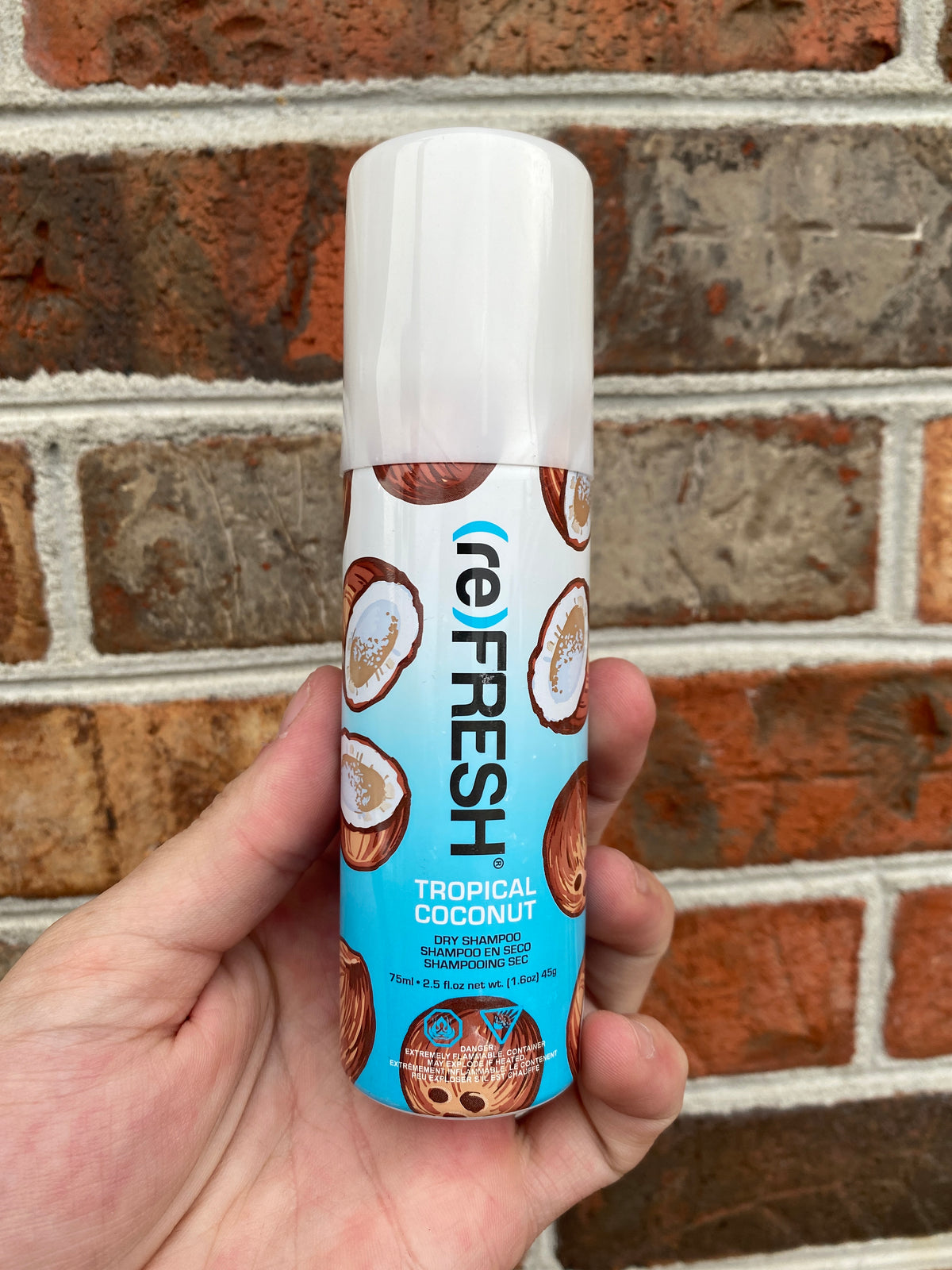 (RE)FRESH Travel Size Dry Shampoo